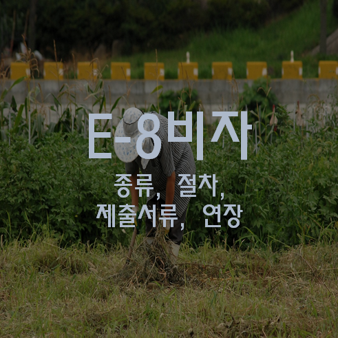 E8비자