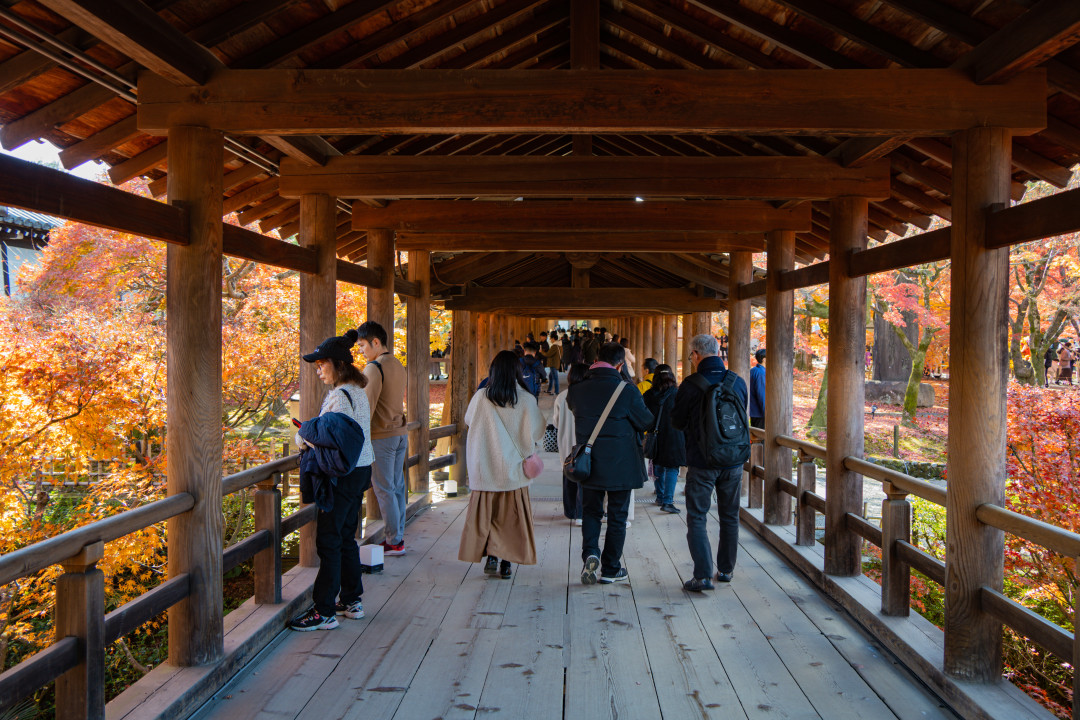 교토 도후쿠지 탐방로