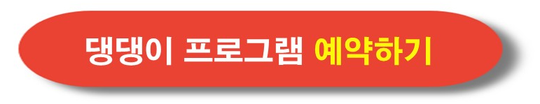2024 구팔일 댕댕이 레이스
