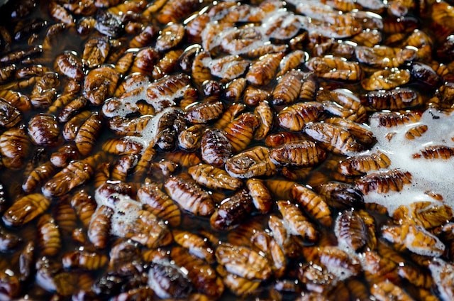 한식 맛집