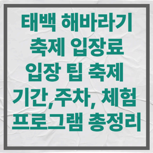 태백 해바라기축제 입장료, 입장 팁 축제 기간, 주차, 체험 프로그램 총정리