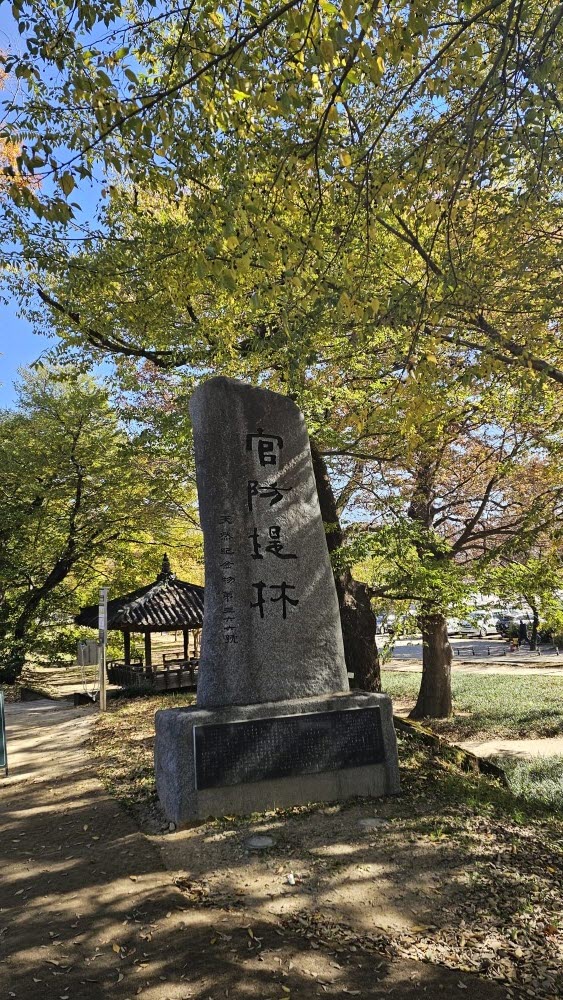 담양 관방제림 &amp; 메타세쿼이어랜드 단풍 절정 실시간 후기 : 이번주 전라남도 가볼만한곳 추천