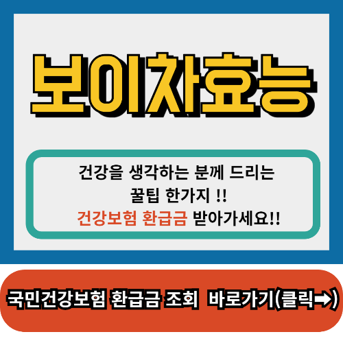 보이차효능,보이차 끓이는법