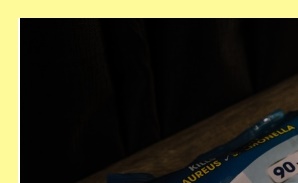 성홍열유행주의