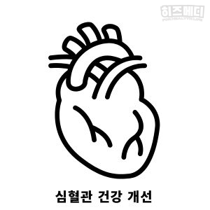 코엔자임 Q10