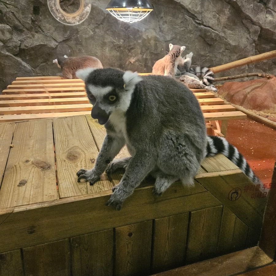 캐니언파크 울산점