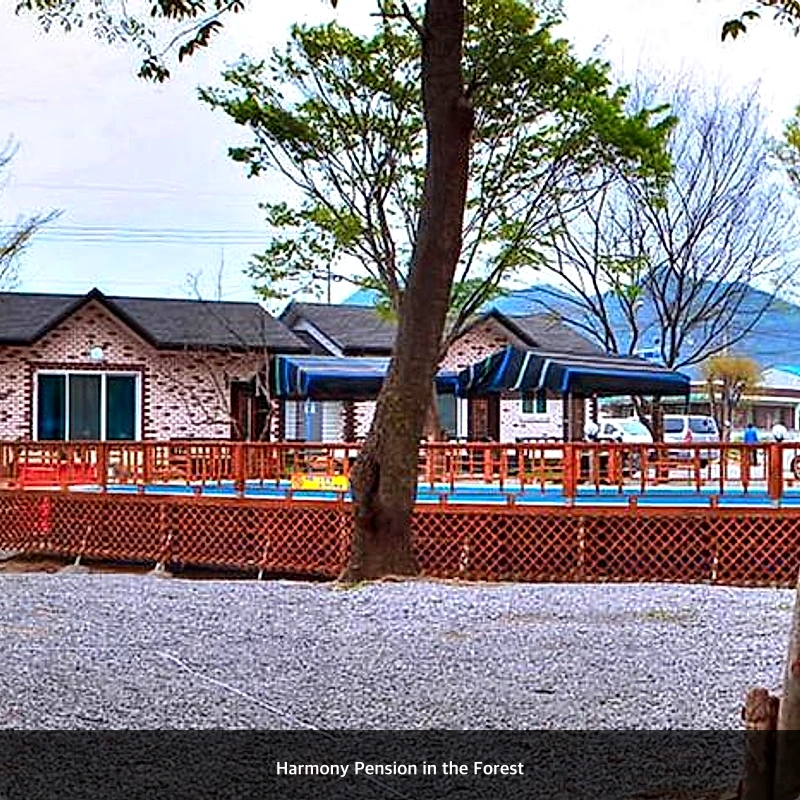 Harmony Pension in the Forest_5