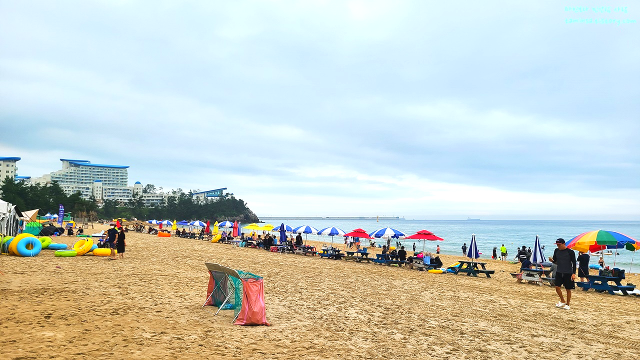 삼척해수욕장-파라솔대여