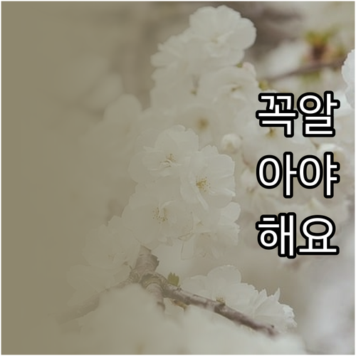 에코백 오래 쓰는 법 세척부터 보관까..