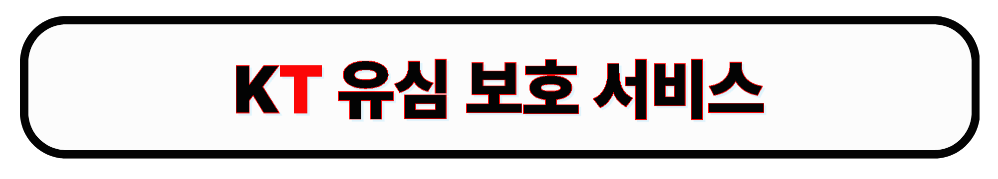 KT 유심 보호 서비스