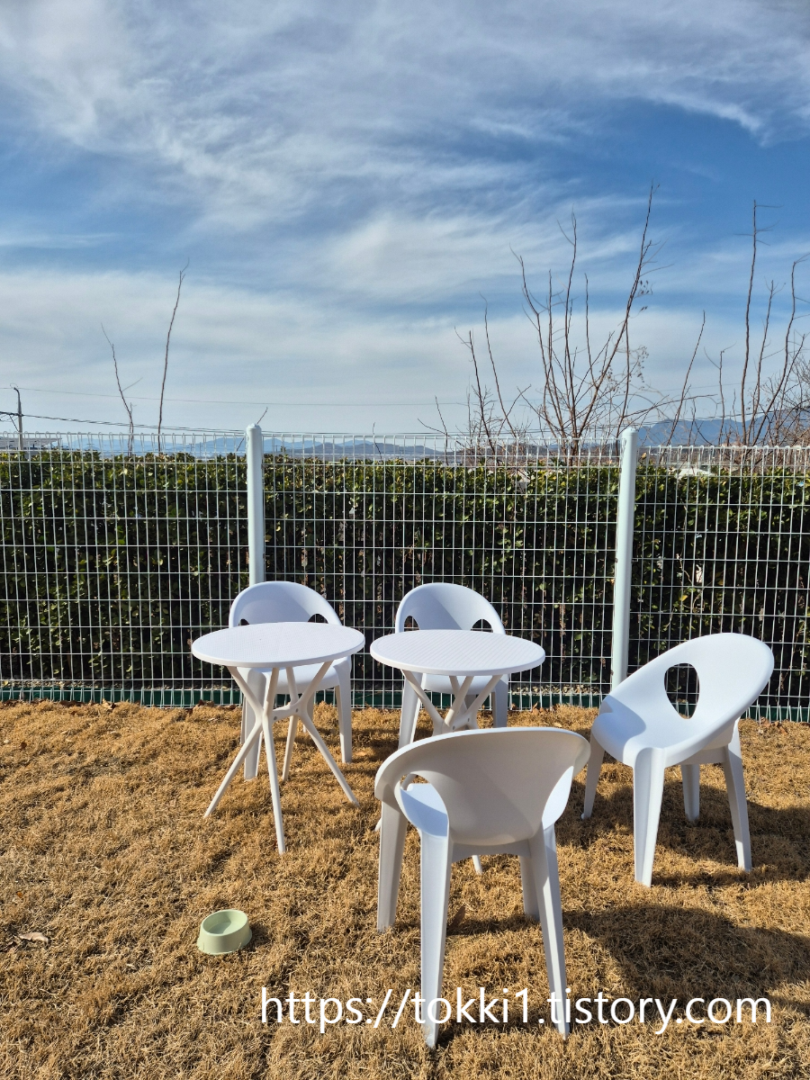 구미 산동 애견카페 또독하우스 넓은 잔디 운동장이 있는 신상 반려견 카페