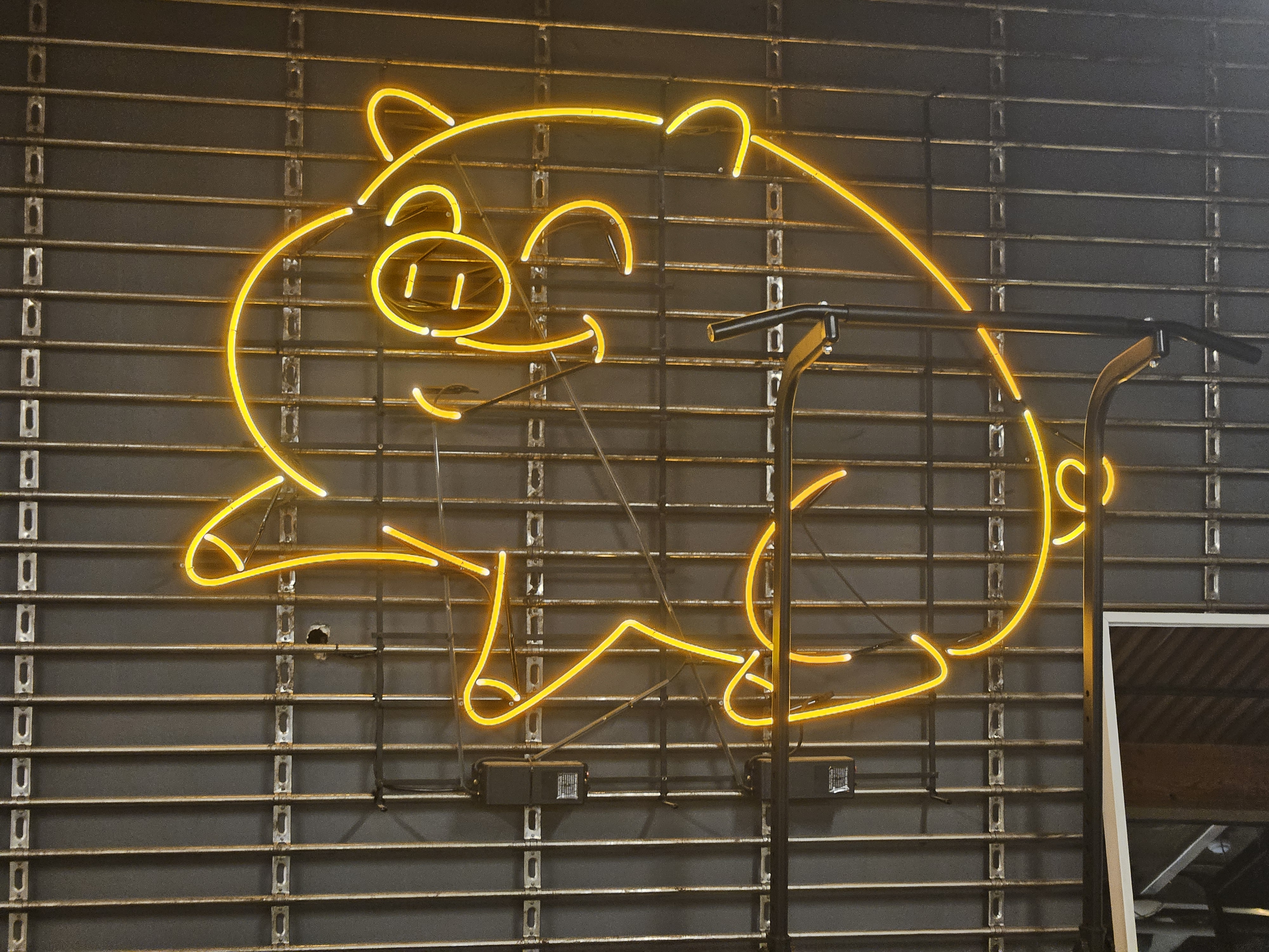귀여운 돼지