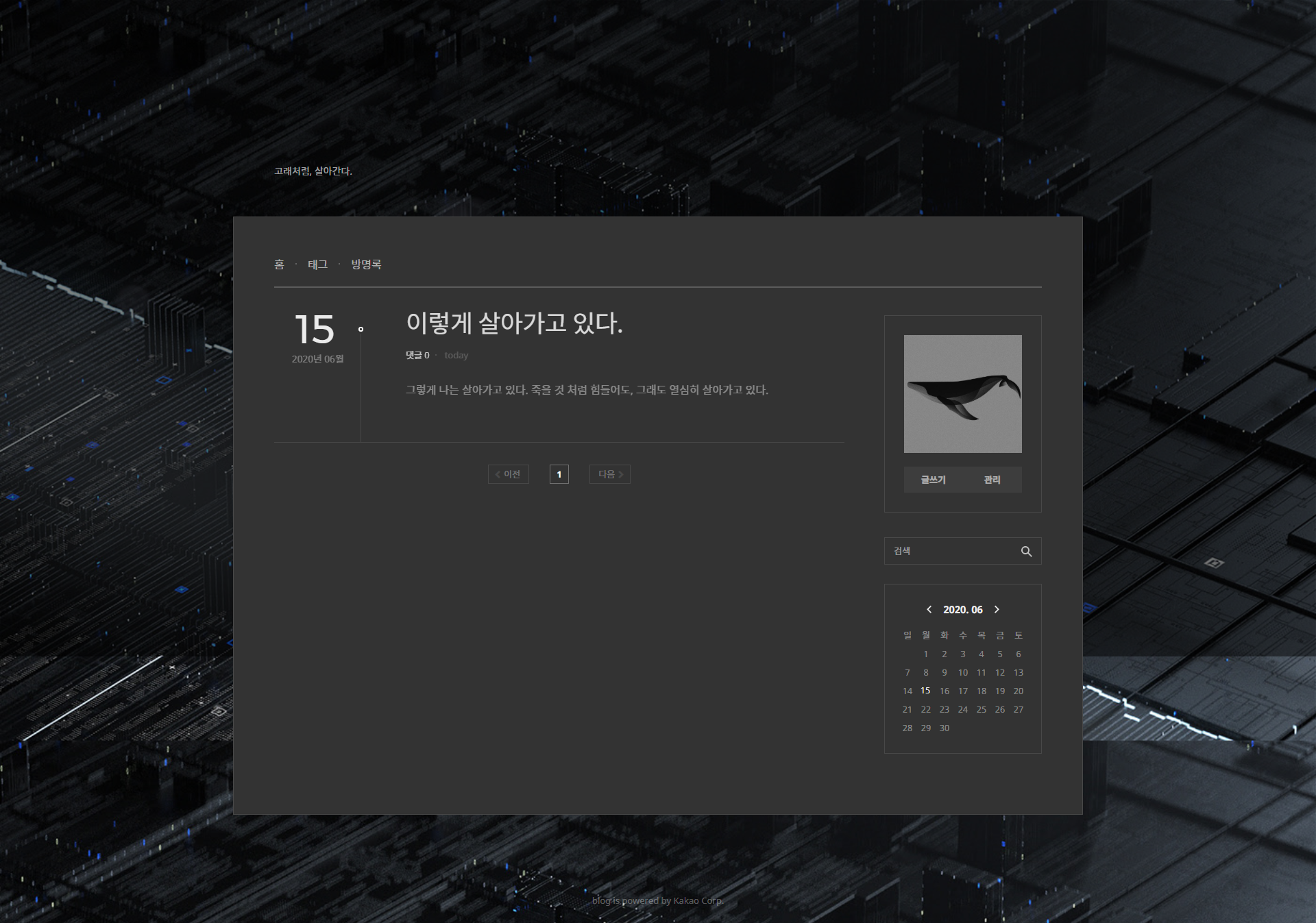다음블로그