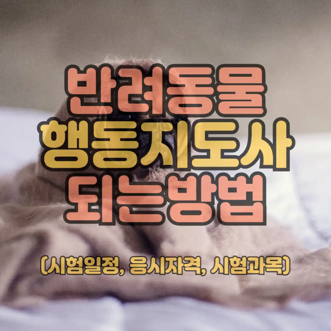 반려동물 행동지도사