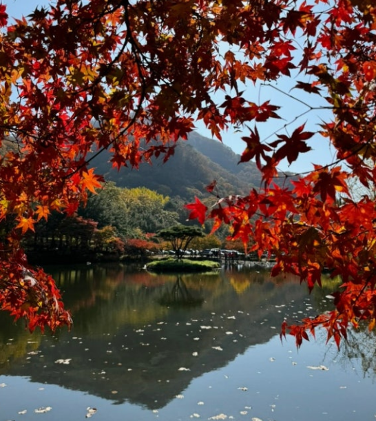 가을 감성 제대로! 주왕산 단풍 시즌&middot;가족코스&middot;사진 포인트 총정리