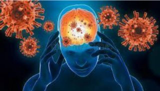 코로나 재유행 BA3.2 변이 매미 시카다 증상 코로나 재유행 BA3.2 변이 매미 시카다 증상