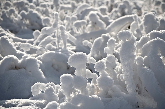 남미 대륙 최고봉 아콘카구아 등반 준비 완벽 가이드