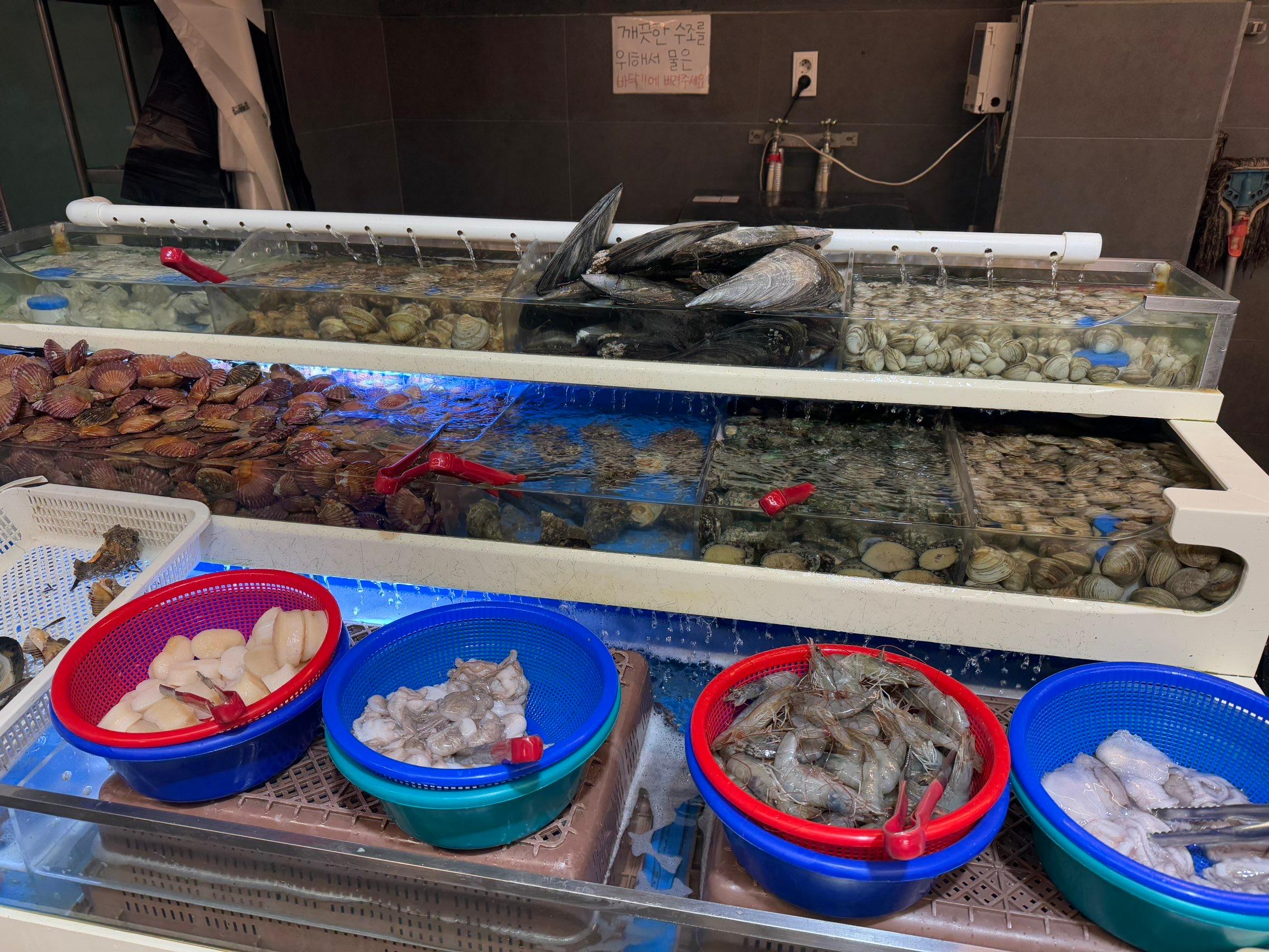 대구 조개 무한리필