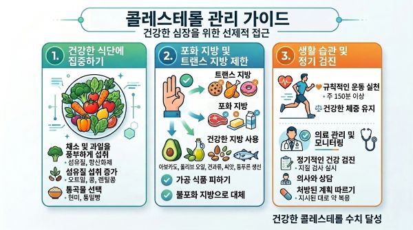 콜레스테롤 관리가이드. 건강한 심장을 위한 선제적 접근