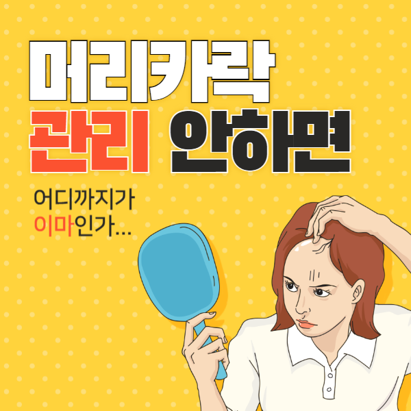 머리카락 관리