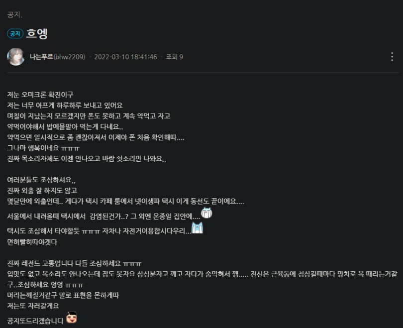 스트리슈