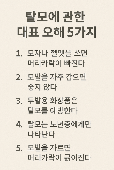 탈모에 관한 대표 오해 5가지