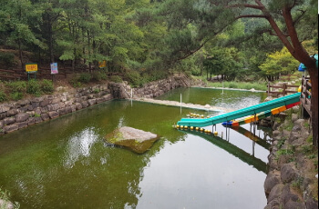 상주 성주봉 자연휴양림 계곡 물놀이_3