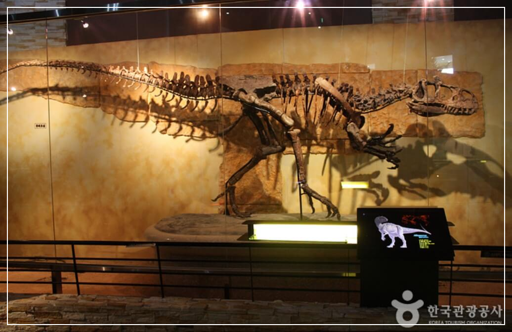 해남 가볼만한곳 베스트10 우항리 공룡박물관