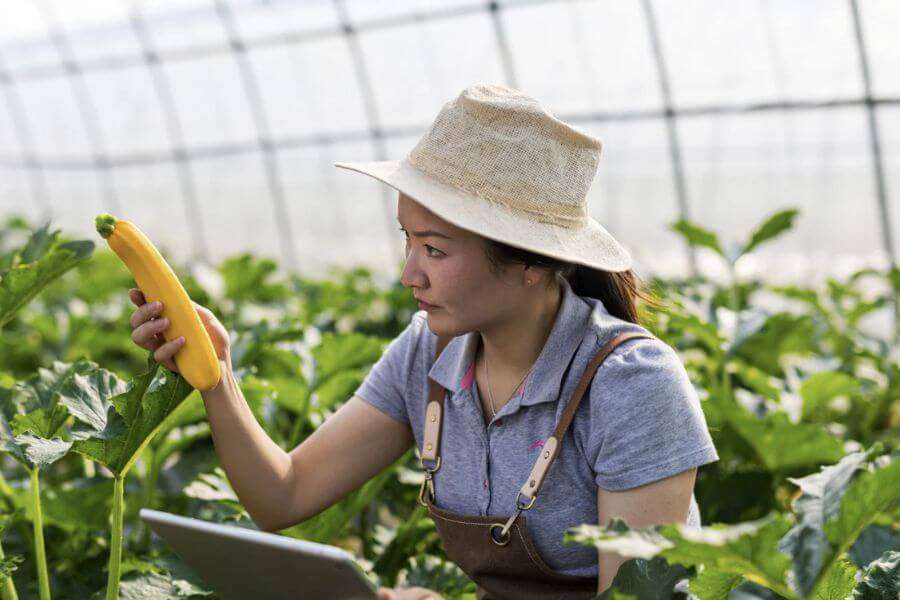 오래 버티는 귀농 생활은 천천히 적응하는 것에서 시작되는 이유