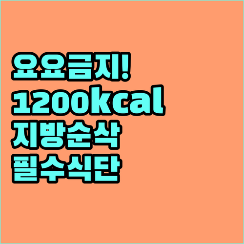 요요 없는 체지방 감량 식단 1200..
