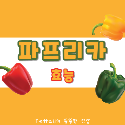 파프리카 효능 대표 사진