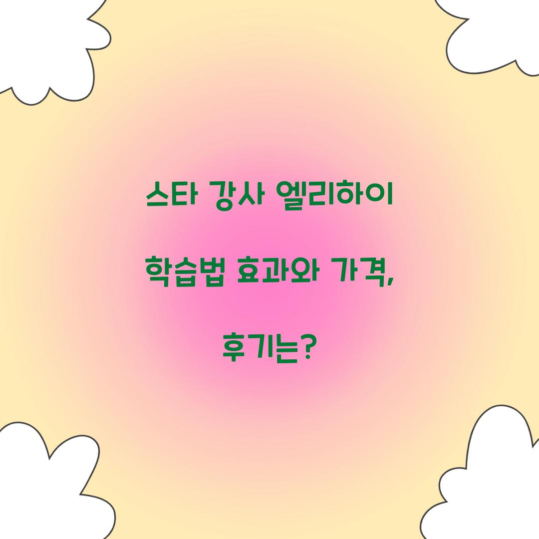 스타 강사 엘리하이 학습법