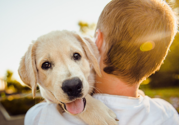 오늘의 운세 10월 31일