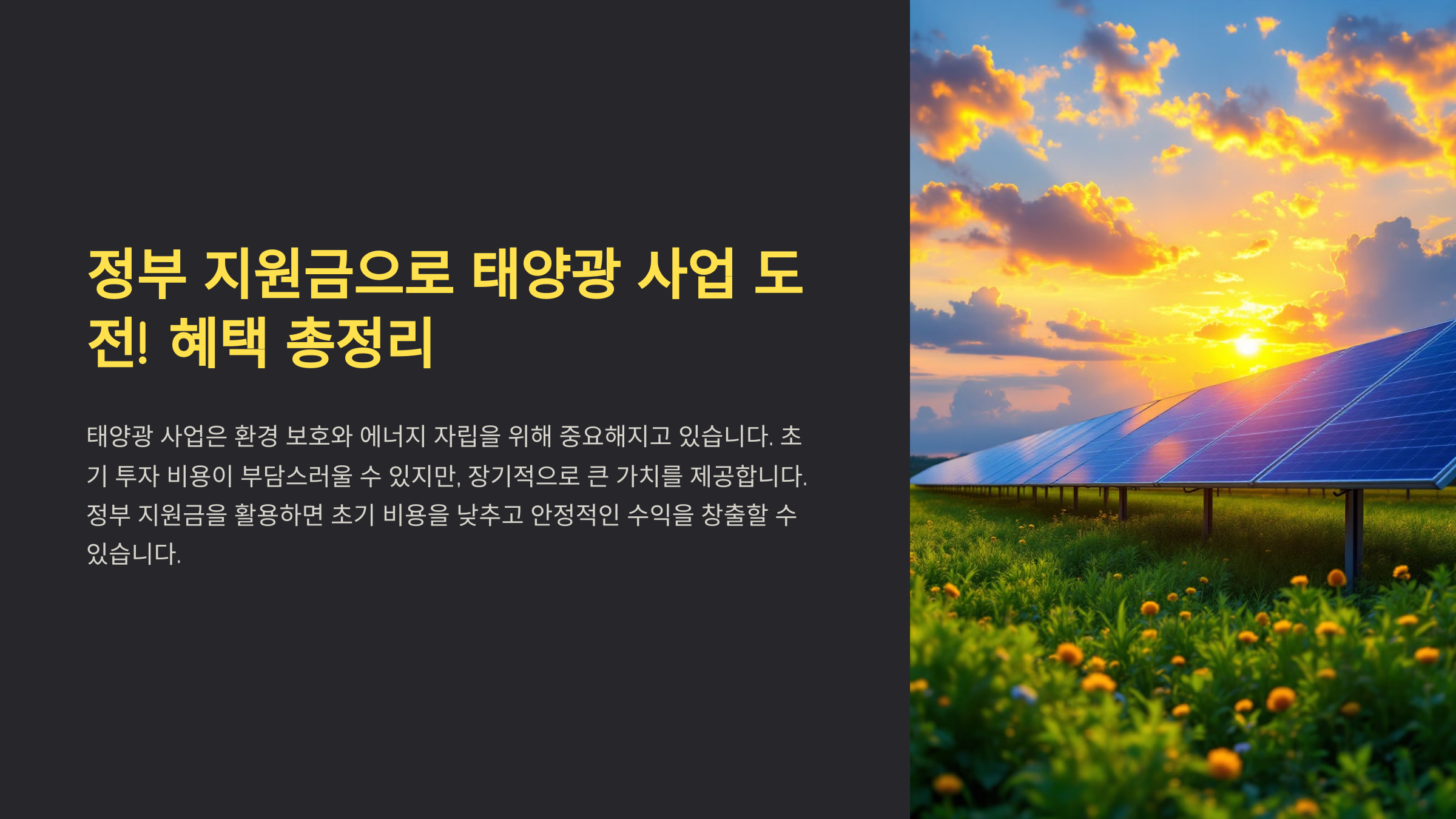 정부 지원금으로 태양광 사업 도전! 혜택 총정리