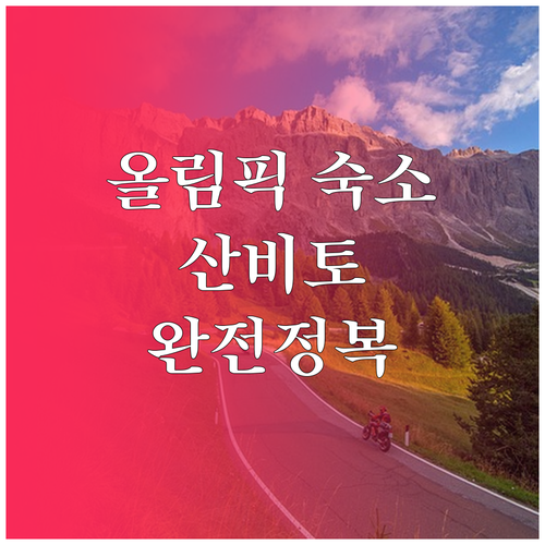 동계올림픽 직관 여행을 위한 주변 도..