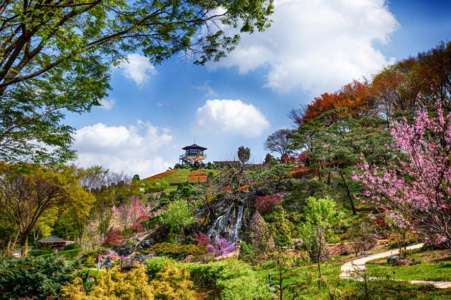 2024 베어트리파크 단풍축제 예매