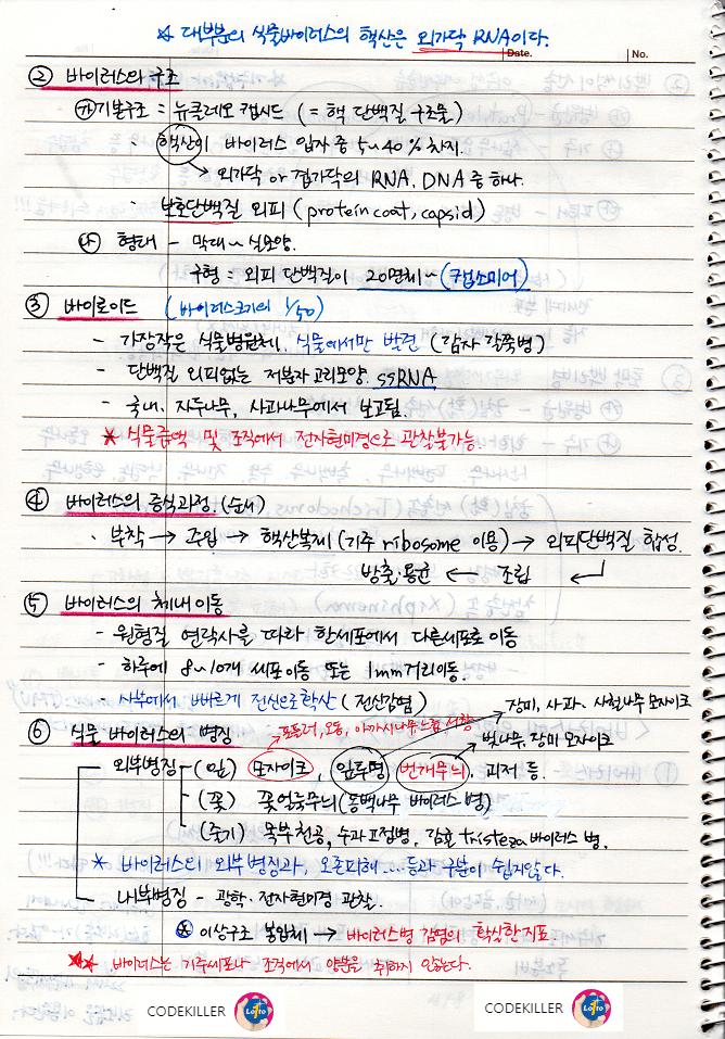 바이러스의 구조&#44; 바이로이드&#44; 바이러스의 증식과정