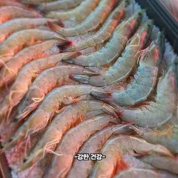 대하 효능