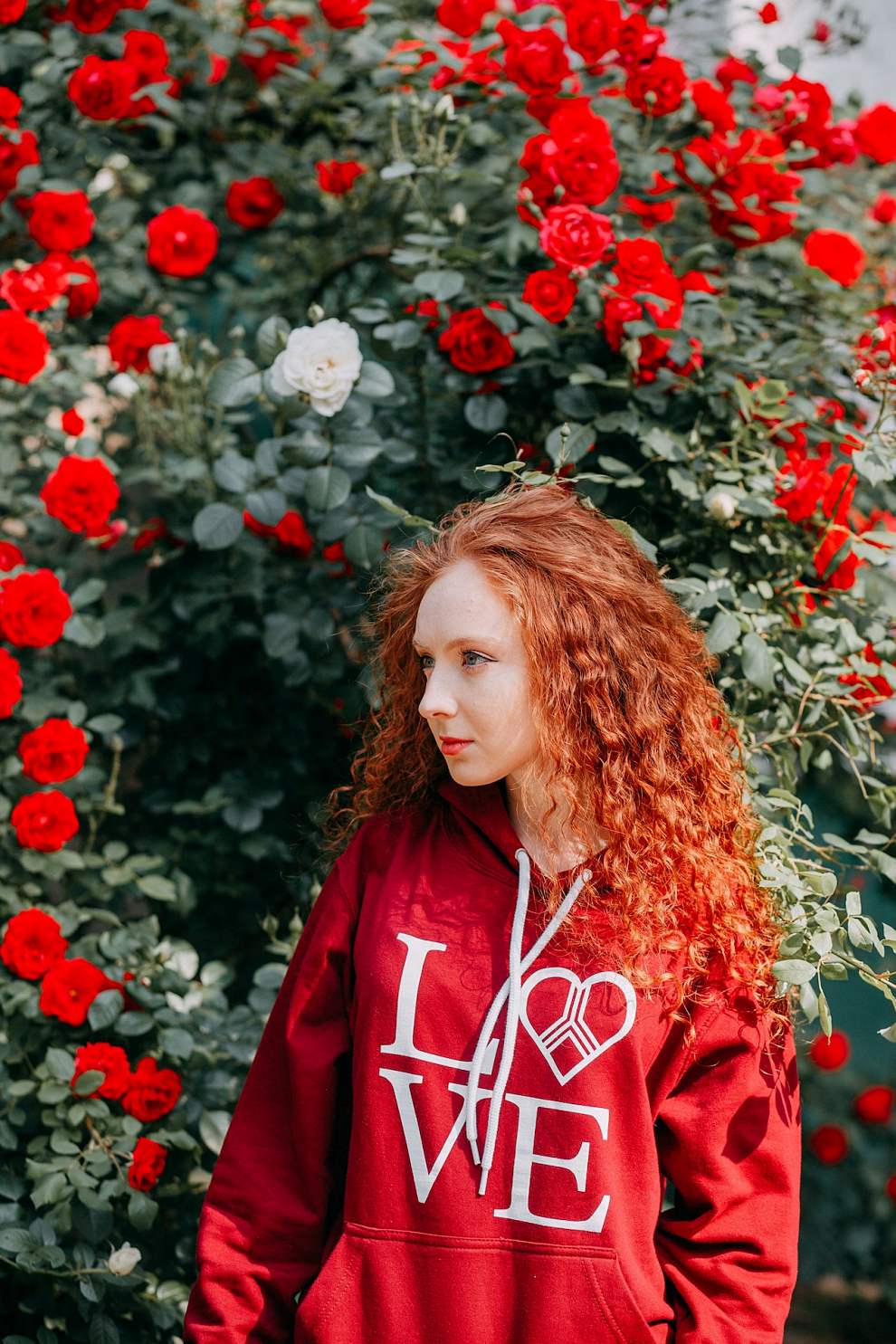 서울장미축제 기본정보