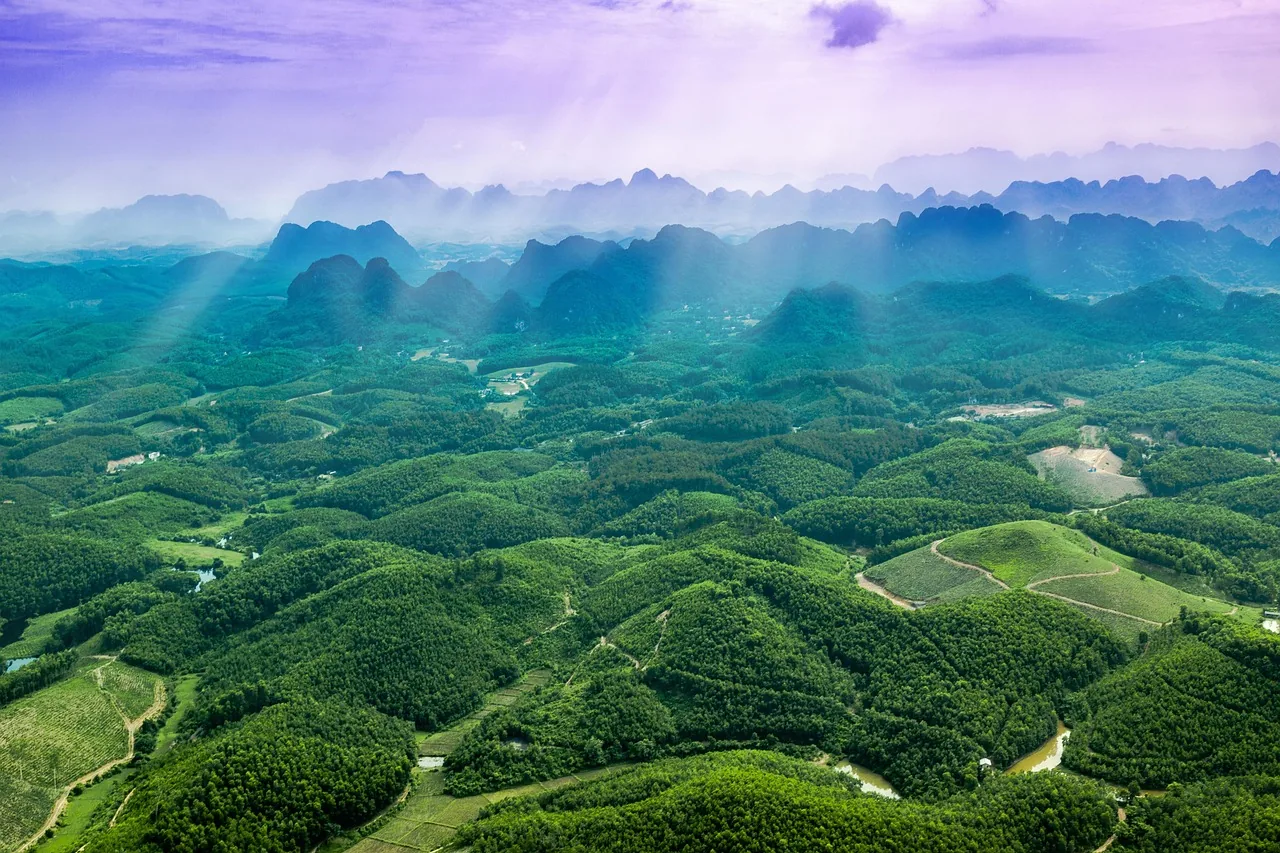 trang an, 바이 dinh, ninh binh province, 풍경, 풍경화, 풍경은 복잡한