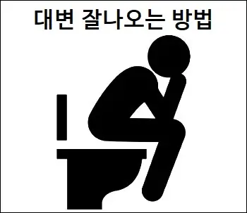 대변 잘나오는 방법