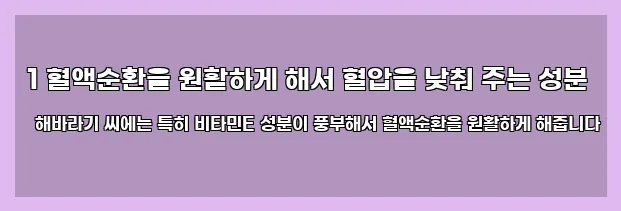  1 혈액순환을 원활하게 해서 혈압을 낮춰 주는 성분 해바라기 씨에는 특히 비타민E 성분이 풍부해서 혈액순환을 원활하게 해줍니다