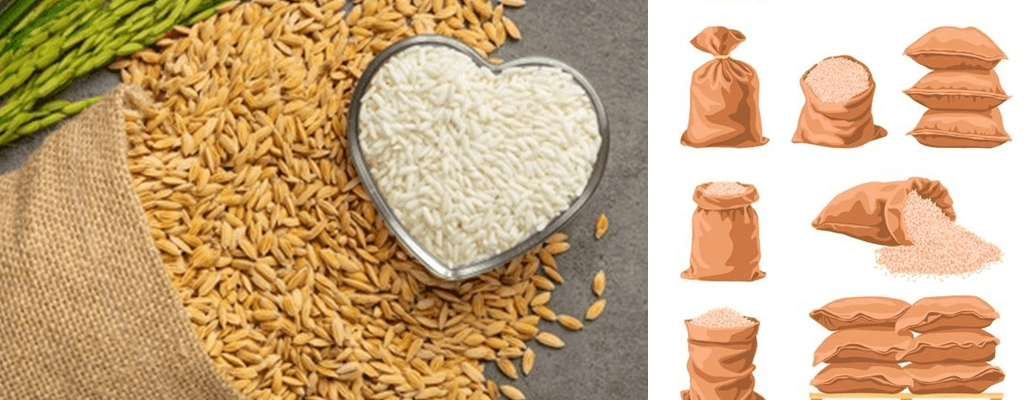 쌀벌레 나오는 쌀 보관법 예시