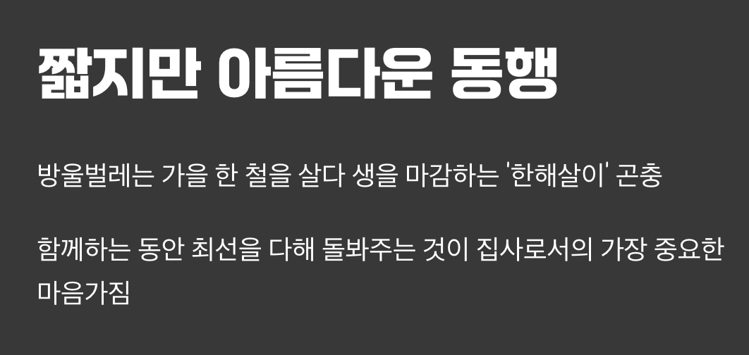 짧지만 아름다운 동행