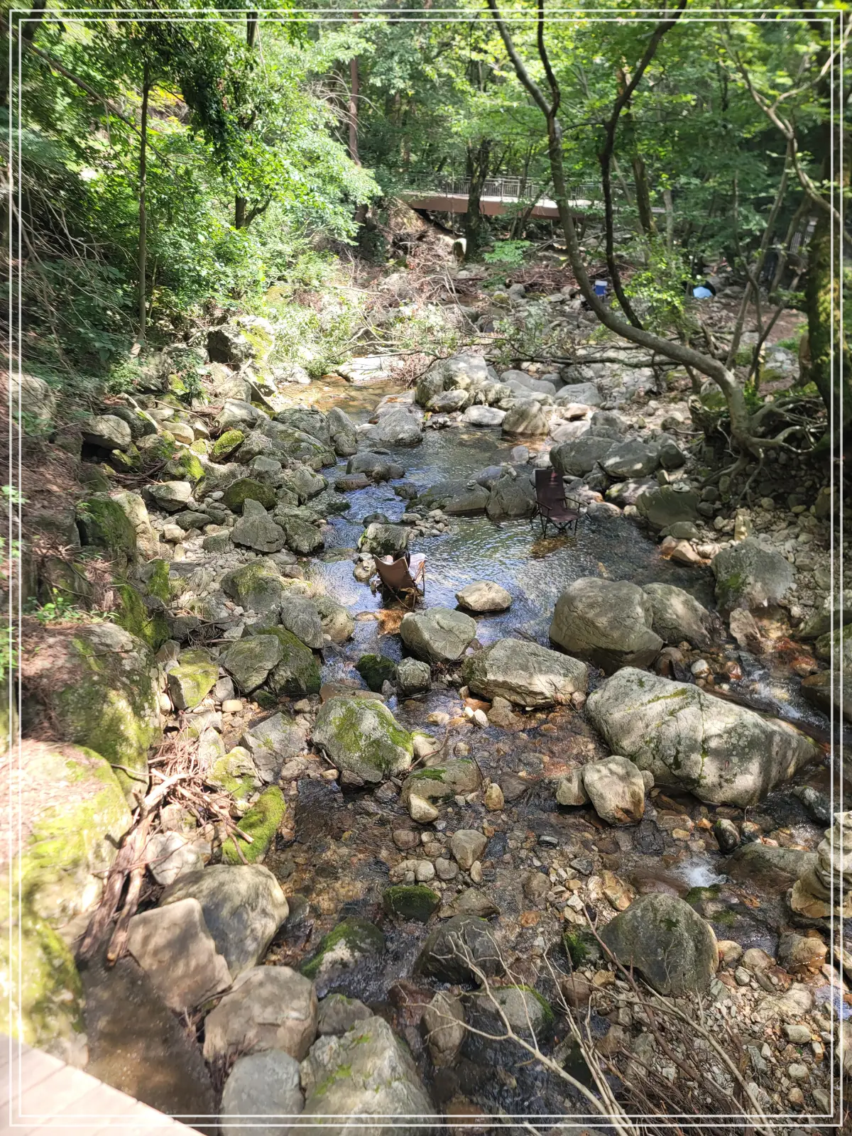 용문사-20250808_141359