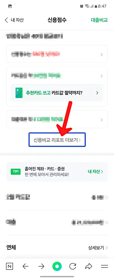 신용리포트