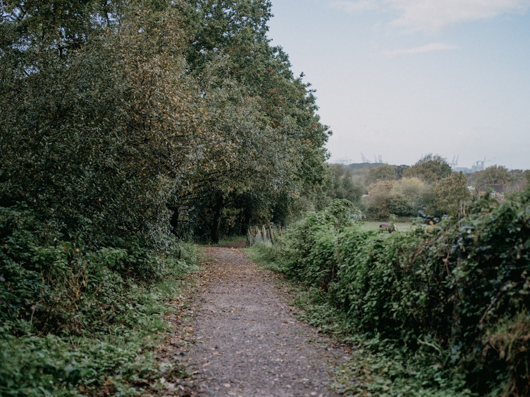 Shortcut