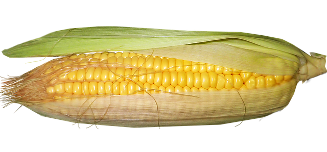 뱃살 빼는 최고의 음식 11