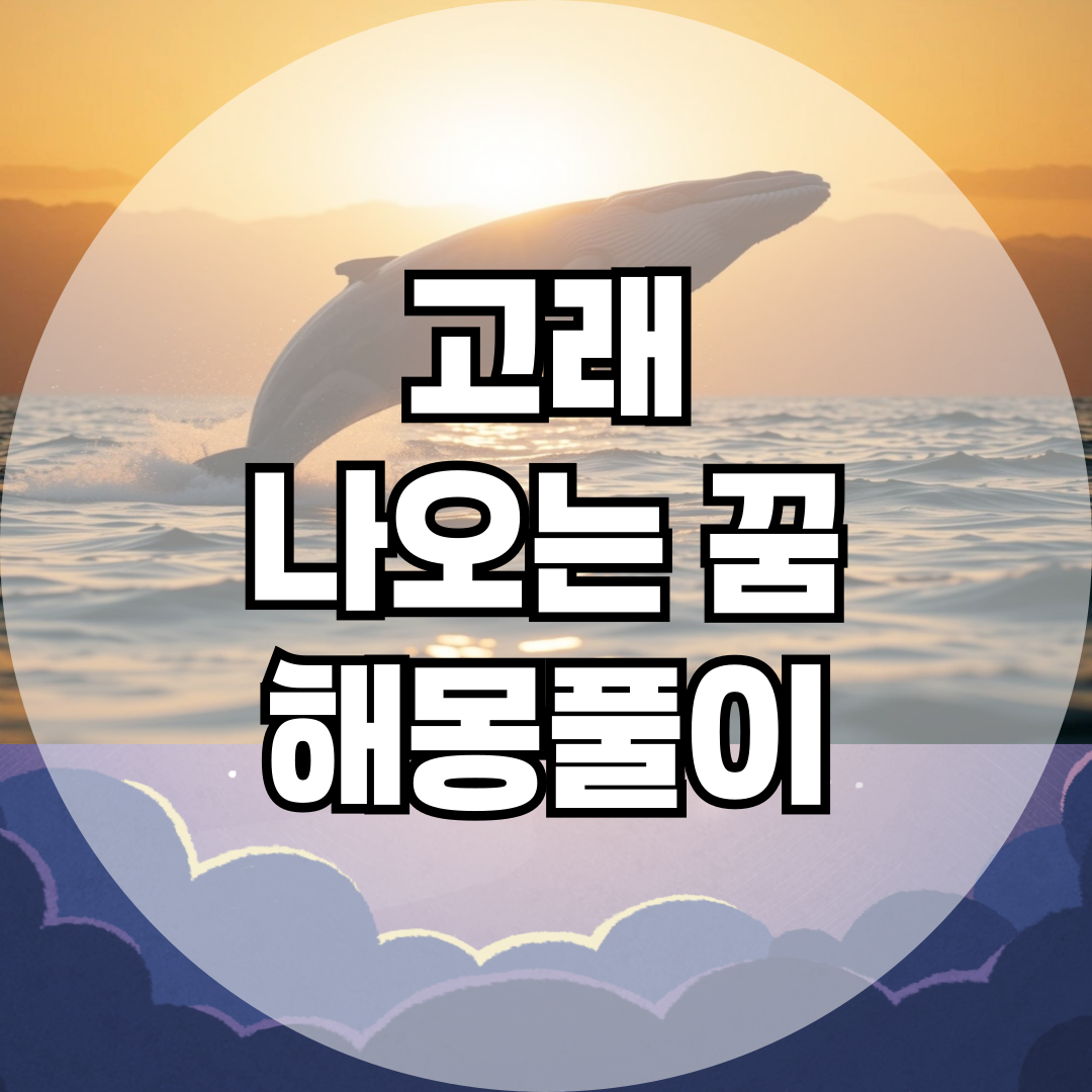 고래 나오는 꿈 해몽 총정리! 고래 꿈 상황별 해석