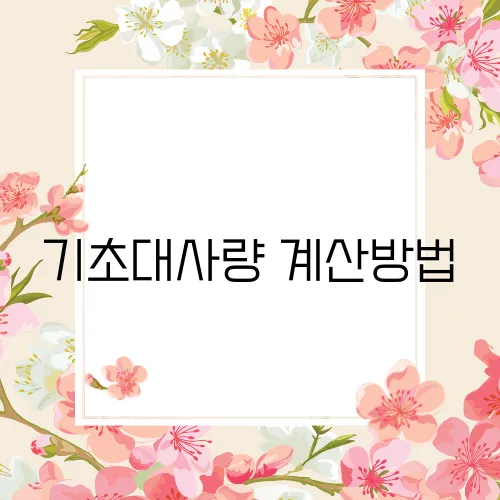 기초대사량 계산방법